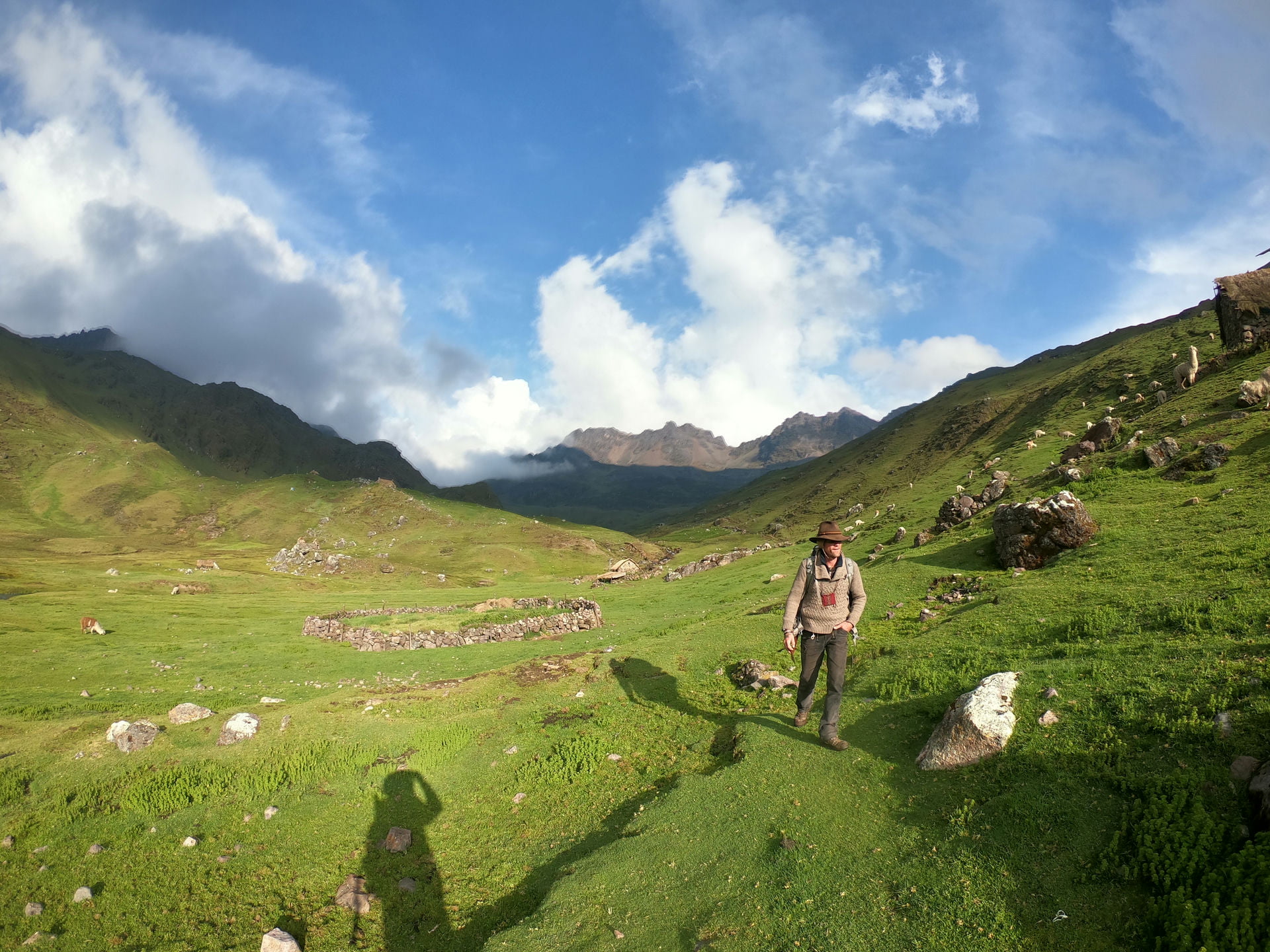 Discover the sacred cactus that will make you see life in a different light.